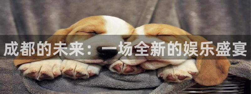 壹号app下载链接：成都的未来：一场全新的娱乐盛宴