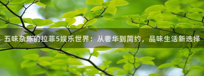 壹号电子娱乐app下载安装：五味杂陈的拉菲5娱乐世界：从奢华到简约，品味生活新选择