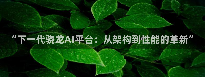 壹号大舞台入口：“下一代骁龙AI平台：从架构到性能的革新”