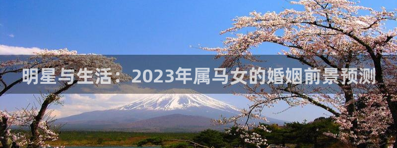 壹号玩家app下载：明星与生活：2023年属马女的婚姻前景预测