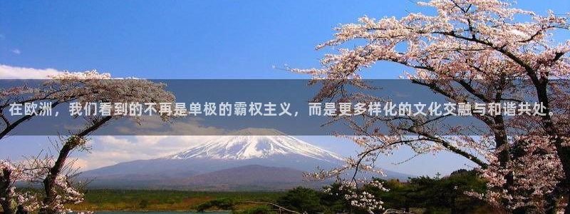 壹号app下载官网娱乐：在欧洲，我们看到的不再是单极的霸权主义，而是更多样化的文化交融与和谐共处。