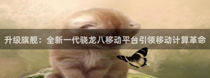 天顺娱乐平台app下载安装：升级旗舰：全新一代骁龙八移动平台引领移动计算革命