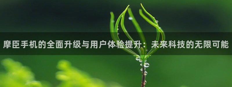 壹号大舞台：摩臣手机的全面升级与用户体验提升：未来科技的无限可能