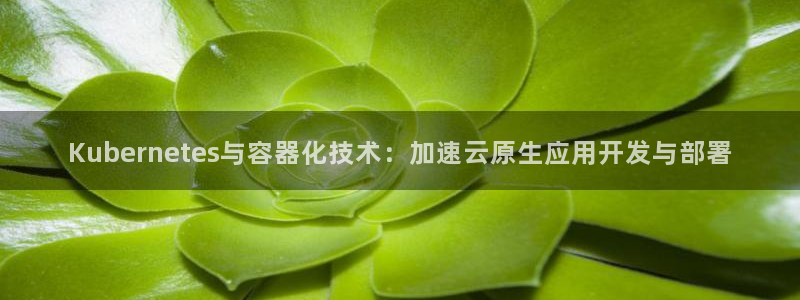 天顺娱乐官网：Kubernetes与容器化技术：加速云原生应用开发与部署