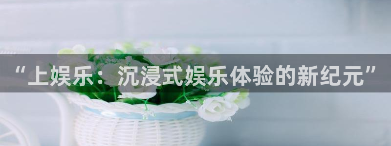 壹号电子娱乐app下载安装最新版本：“上娱乐：沉浸式娱乐体验的新纪元”