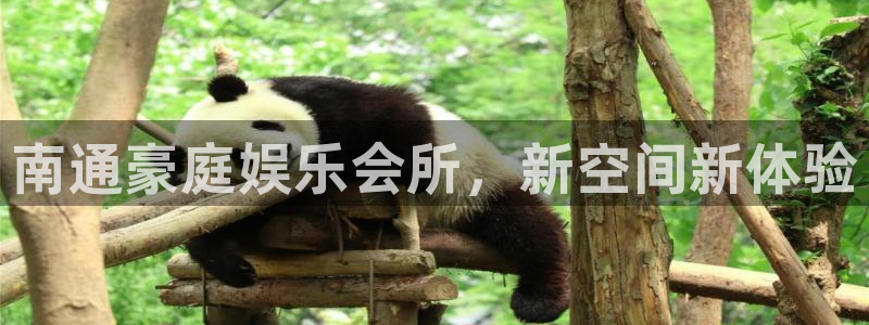 天顺娱乐app下载安装