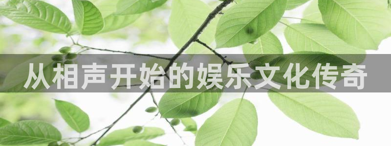壹号下载官网入口：从相声开始的娱乐文化传奇
