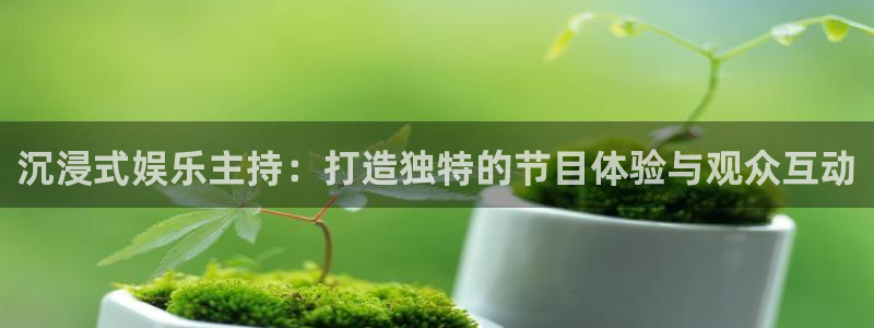 天顺娱乐退款怎么退：沉浸式娱乐主持：打造独特的节目体验与观众互动