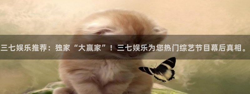 天顺娱乐平台app下载：三七娱乐推荐：独家“大赢家”！三七娱乐为您热门综艺节目幕后真相。