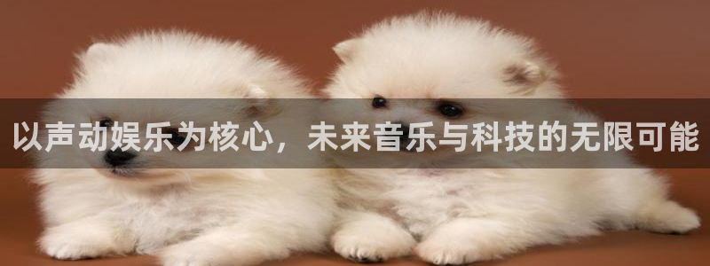 天顺娱乐充值怎么退款：以声动娱乐为核心，未来音乐与科技的无限可能