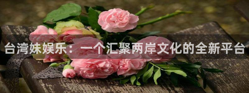 壹号大舞台官网入口：台湾妹娱乐：一个汇聚两岸文化的全新平台