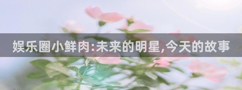天顺娱乐电子游戏官网：娱乐圈小鲜肉:未来的明星,今天的故事