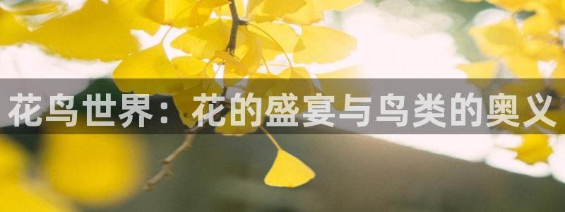 壹号下载官网入口：花鸟世界：花的盛宴与鸟类的奥义
