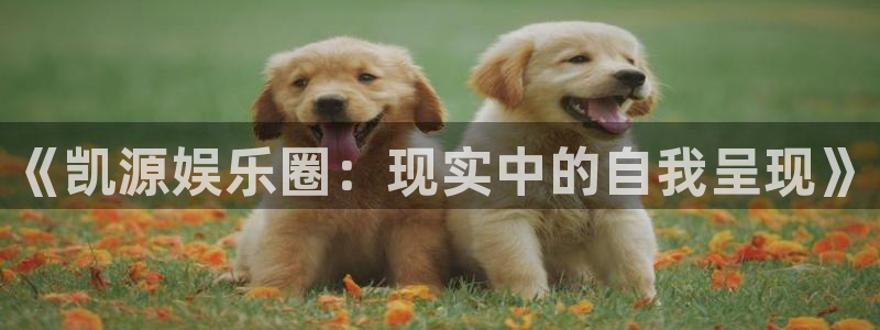 天顺娱乐app下载