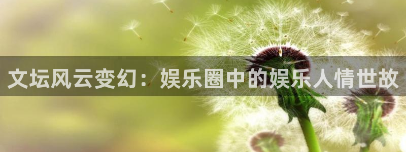 天顺娱乐,apk.：文坛风云变幻：娱乐圈中的娱乐人情世故