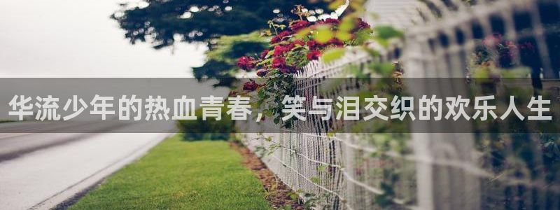 伟德国际集团 壹号(one game)：华流少年的热血青春，笑与泪交织的欢乐人生
