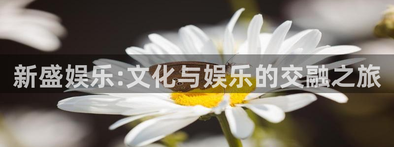壹号app下载