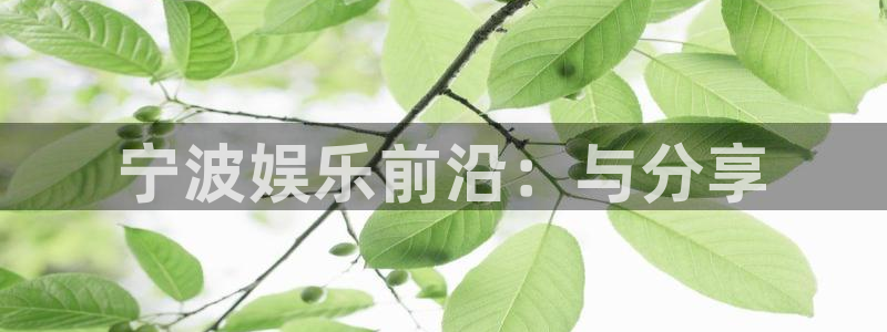 天顺娱乐.com：宁波娱乐前沿：与分享