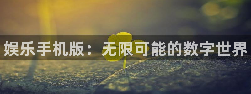 壹号app下载：娱乐手机版：无限可能的数字世界