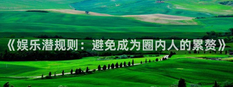 天顺娱乐怎么下载：《娱乐潜规则：避免成为圈内人的累赘》